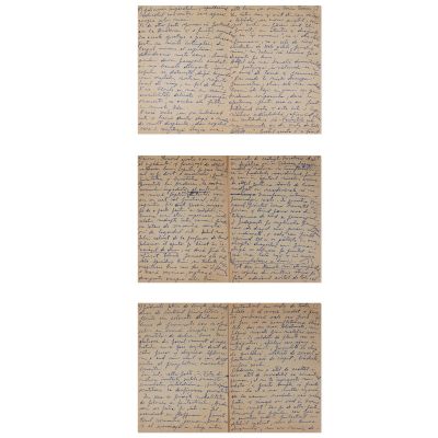 Zoe Dumitrescu-Bușulenga, Hans Christian Andersen, manuscris