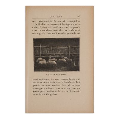 Jacques Watelin, Notes sur l’agriculture de la Valachie, 1906