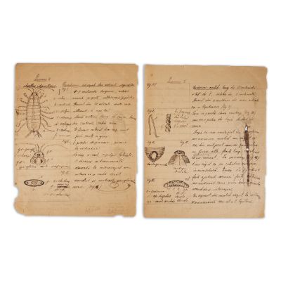 Mircea Eliade, patru lucrări de biologie, cu desene, 1920 - 1921